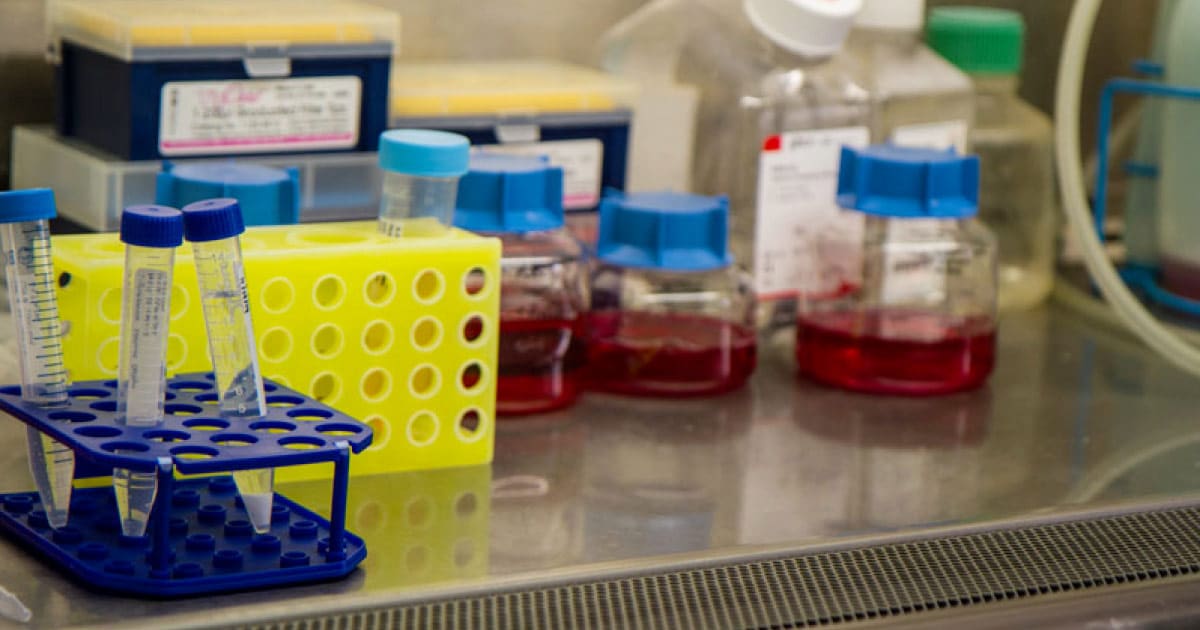 Colorful test tubes in lab