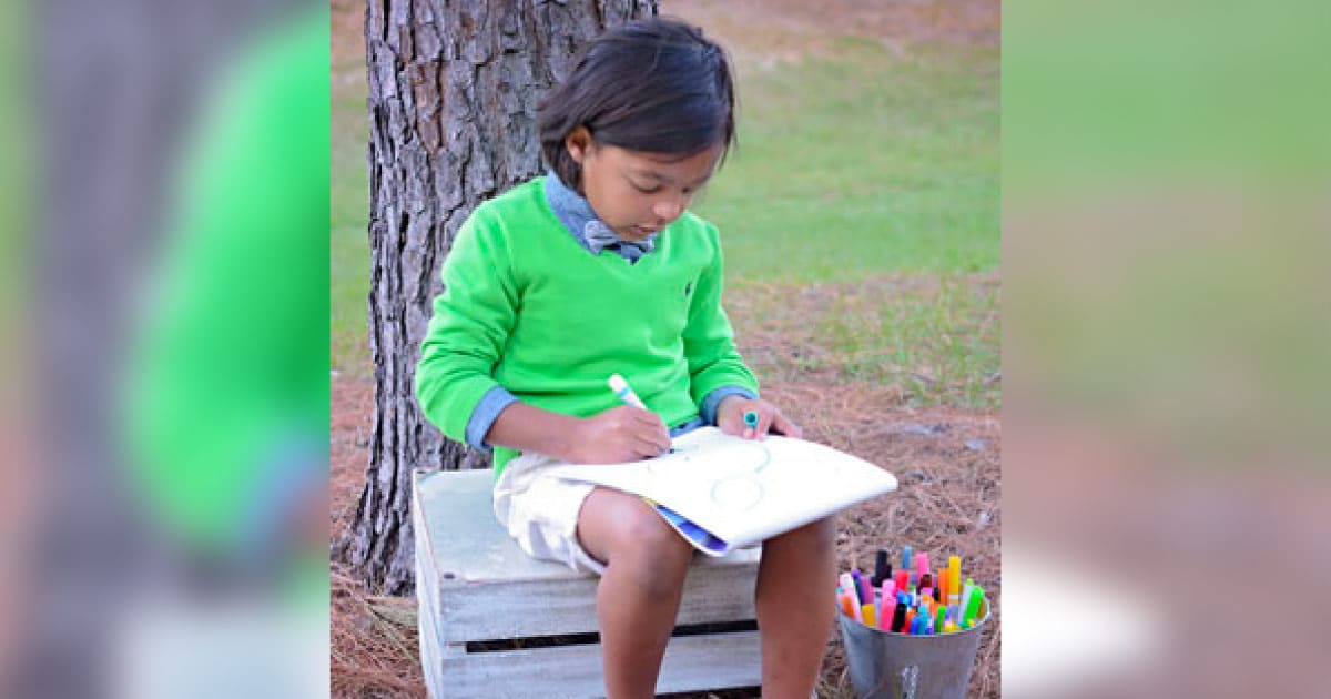 Ambassador Princeton coloring