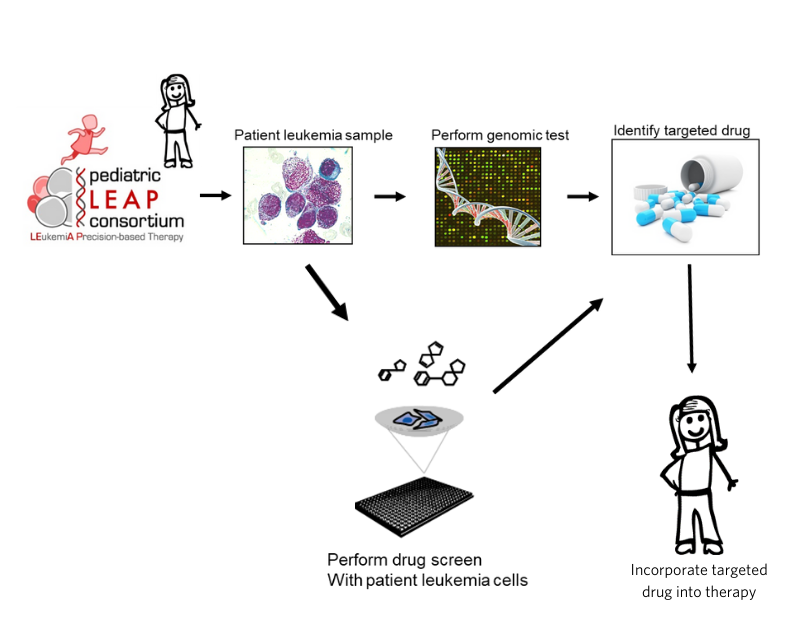 graphic of LEAP Consortium process showing flow from gathering patient leukemia sample, performing genomic testing and drug screen, identifying target, and incorporating targeted drug into therapy in patient.