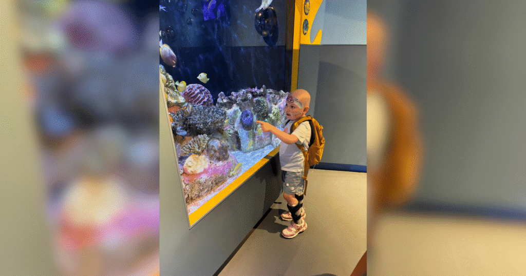 A child gazes intently at an aquarium display filled with colorful fish in a museum setting.