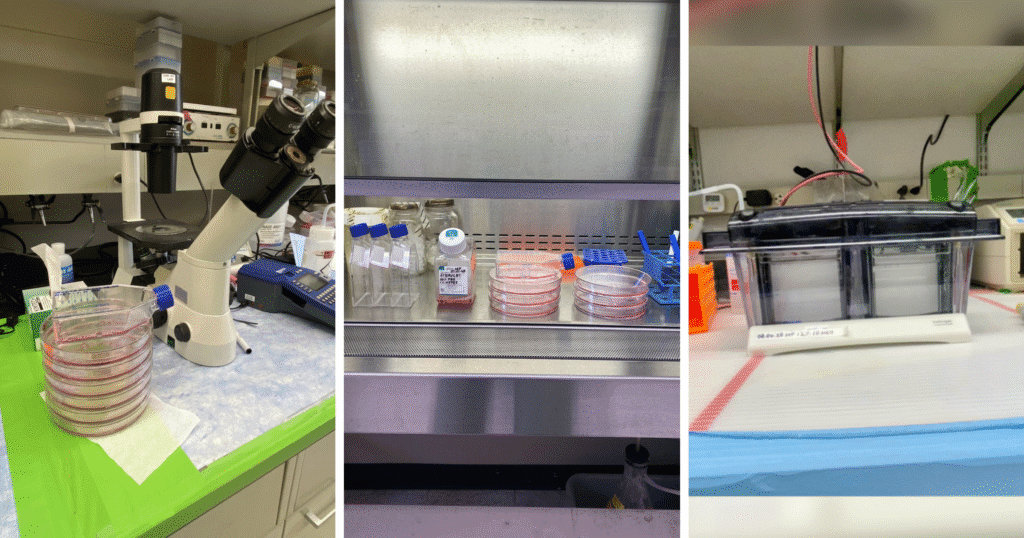 A collage of laboratory equipment, showcasing various tools and instruments used in scientific research and experiments.
